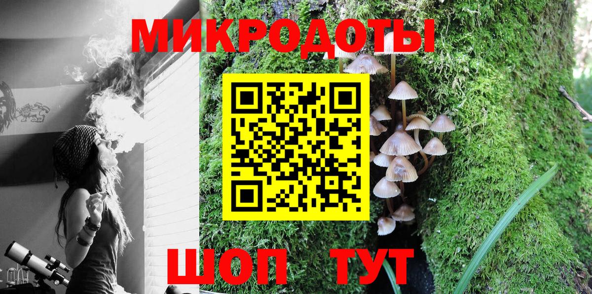 Псилоцибиновые грибы Psilocybe Осинники