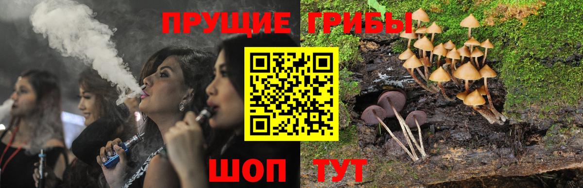 Осинники  Галлюциногенные грибы MAGIC MUSHROOMS  Галлюциногенные грибы прущие грибы  Вход с VPN 